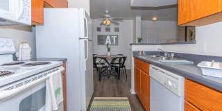 Port Royale Gallery 4