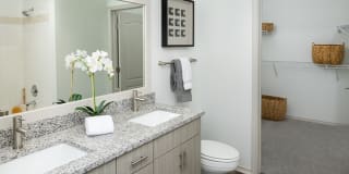 The Madison Apartments Gallery 3