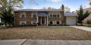 1509 LORELEI Drive Gallery 1