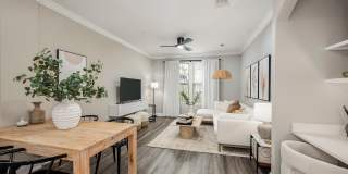 The Village at Lake Lily Gallery 43