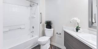 Almaden Lake Village Gallery 16