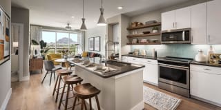 Roadrunner on McDowell Gallery 15