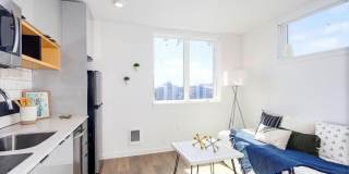 Luna Gallery 7