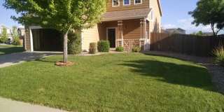 Gorgeous 2 Story 3 Bedroom 2.5 Baths in Dacono For Rent Gallery 1