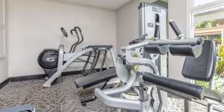 The Village at Town Center Gallery 21