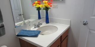 494 S Jade Lane Gallery 17