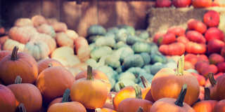 VerraWest Gallery 62