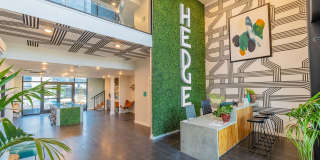 The Hedge 2 Apartments Gallery 2