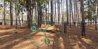 Bridges at Chapel Hill Gallery 37