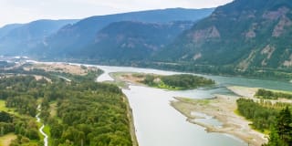 Avana Evergreen Gallery 58