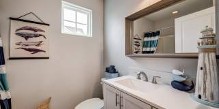 12919 White Pine Way Gallery 16