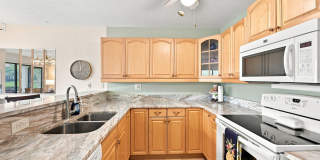 Furnished Ground Floor Corner Unit - Palm Harbor! Gallery 12