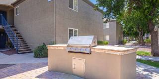 Palm Desert Gallery 14