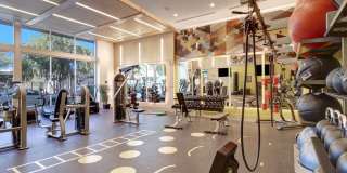 The Linden Gallery 18