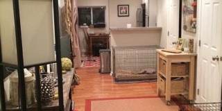 133 s 17th Gallery 7