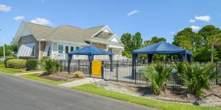 Cadia Myrtle Landing Gallery 30