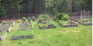 Azalea Apartments Gallery 15