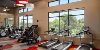 Tapestry at Brentwood Town Center Gallery 9