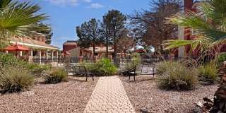 Las Colinas Gallery 19