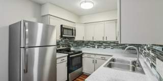 Xander at James Gallery 1