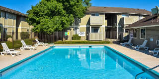 Village of the Pines Village of the Pines Gallery 8