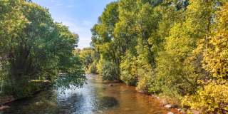 227 Midland Avenue Gallery 11