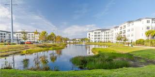 Madison Waterford Lakes Gallery 36