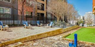 Eleven by Windsor Gallery 37