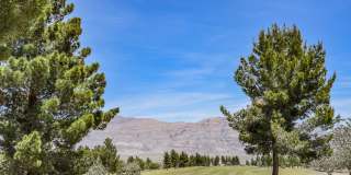 Beautiful Home In Sun City Aliante!! Gallery 43