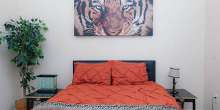 1637 Maximilian Dr Gallery 23