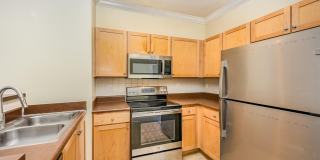 6470 Borasco Drive Gallery 7