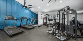 Cantala Apartments Gallery 15