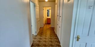 3 Bedroom, 1 Bath Apartment for Rent - Close to MSU - Pets Friendly Gallery 11