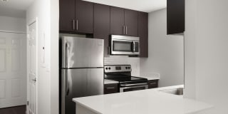 James and Harrison Court Gallery 31