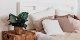 Village Manor Gallery 17