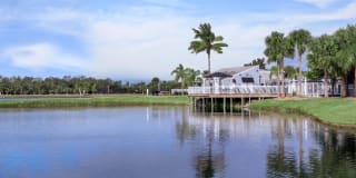 Fountain Lake Bradenton Gallery 26