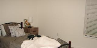 136 SEA TRAIL Gallery 18