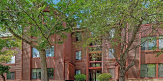 2811 LEE OAKS Court Gallery 30