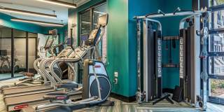 Jade at North Hyde Park Gallery 6