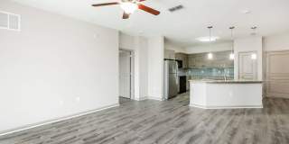 RIZE at Winter Springs Gallery 159