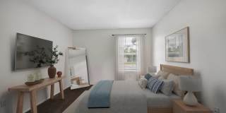 Tampa Woods Apartments Gallery 12