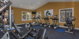 Sagecliff Apartments Gallery 5