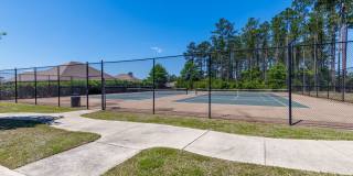 4/2 Stonebridge Rental with Modern Upgrades, Private Wooded Views & Resort-Style Amenities Gallery 37