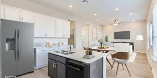 BENTON PLAN Gallery 1