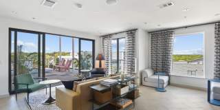 Starlight Gallery 13