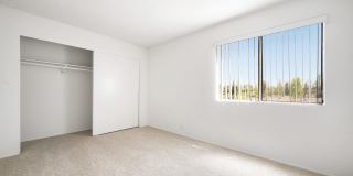 The Terrace Apartments Gallery 45