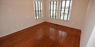 20425 CODMAN Drive Gallery 18