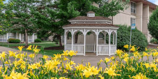 Northwood Gallery 12