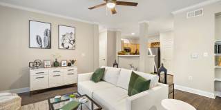 The Verandah Gallery 41