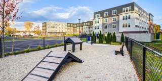 Alta Altitude Gallery 35